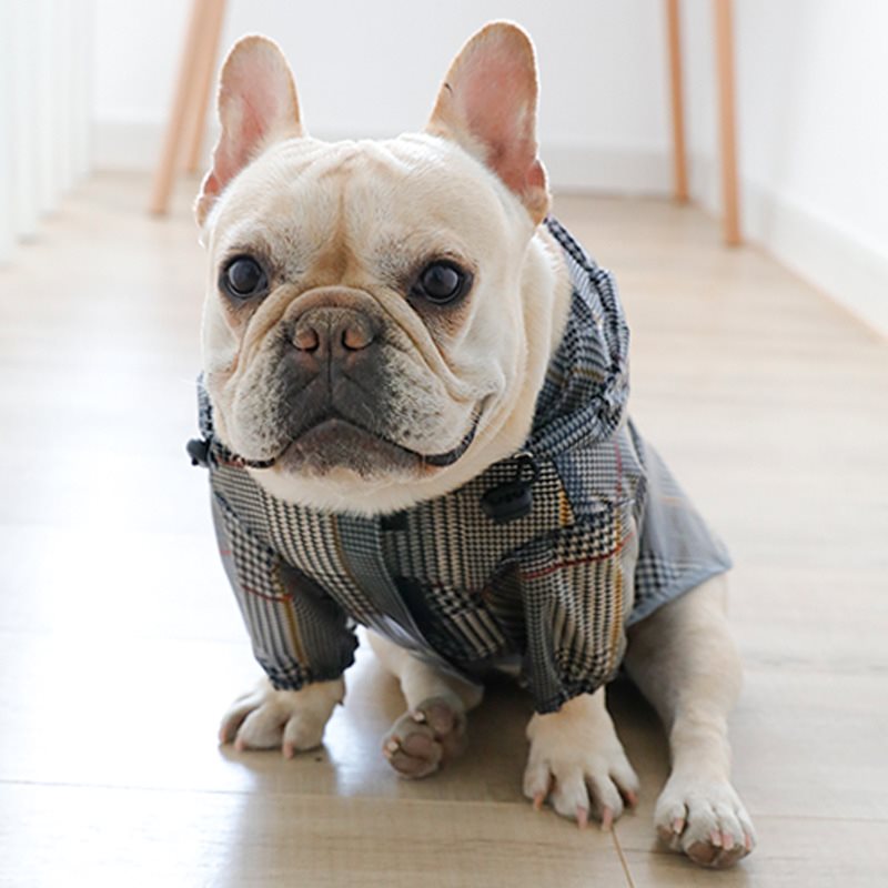 KFX-1867197 Stylish Grey Grid Dog Raincoat for Small to XXL Sizes