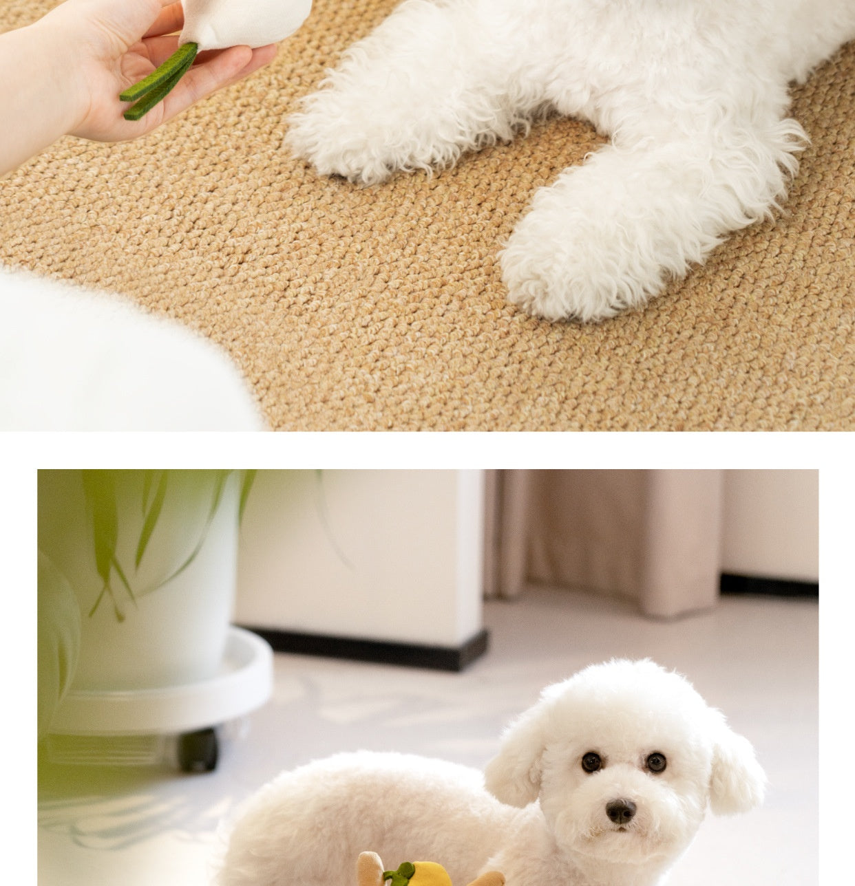 KFX-1867837 Interactive Food Leakage Educational Toys for Dogs - Fun Fruits & Vegetables Simulation Set