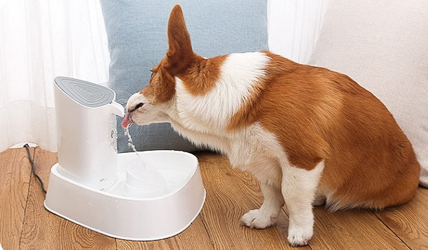 KFX-1868861 Automatic Pet Water Dispenser with Quadruple Filtration and Silent Pump, 1.8L Capacity