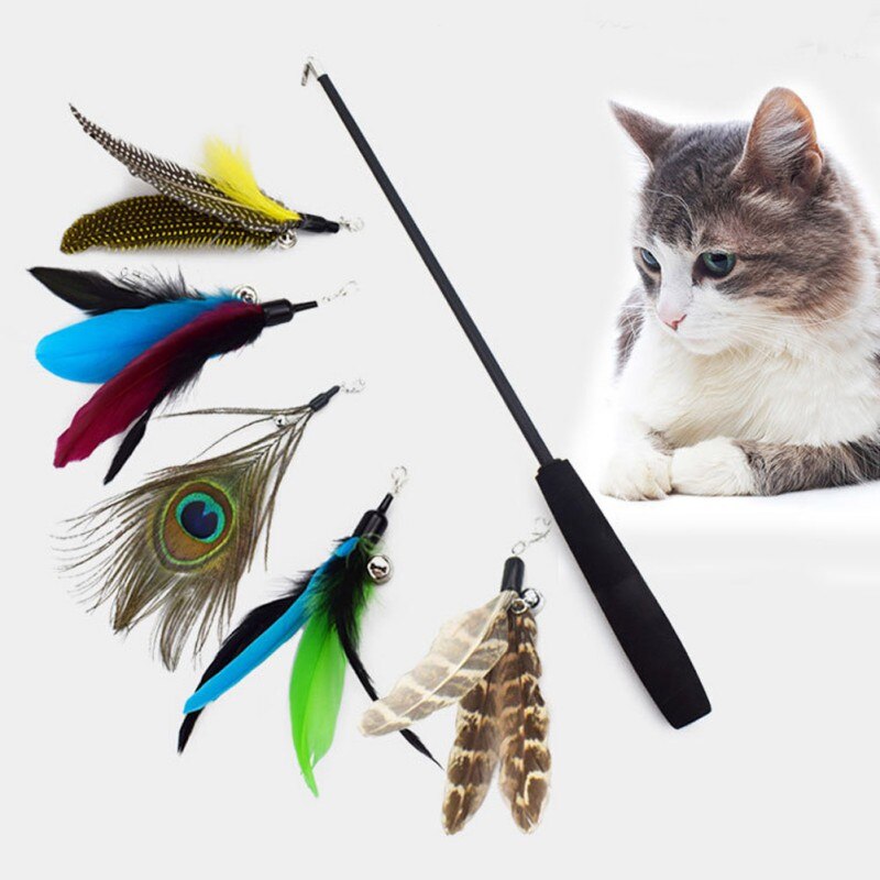 KFX-1873597 Three-Stage Telescopic Cat Teaser with EVA Handle and High Carbon Fiber Pole