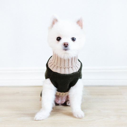 KFX-1876541 Autumn and Winter Army Green Cartoon Dog Sweater for All Sizes