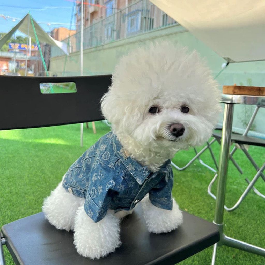 KFX-1876925 Trendy Denim Jacket for Dogs - Cotton Coat in Multiple Sizes