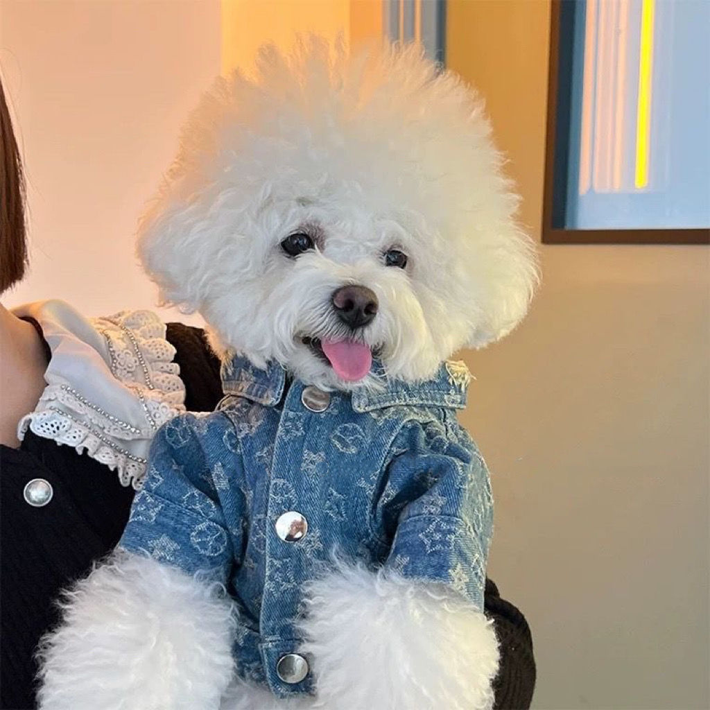 KFX-1876925 Trendy Denim Jacket for Dogs - Cotton Coat in Multiple Sizes