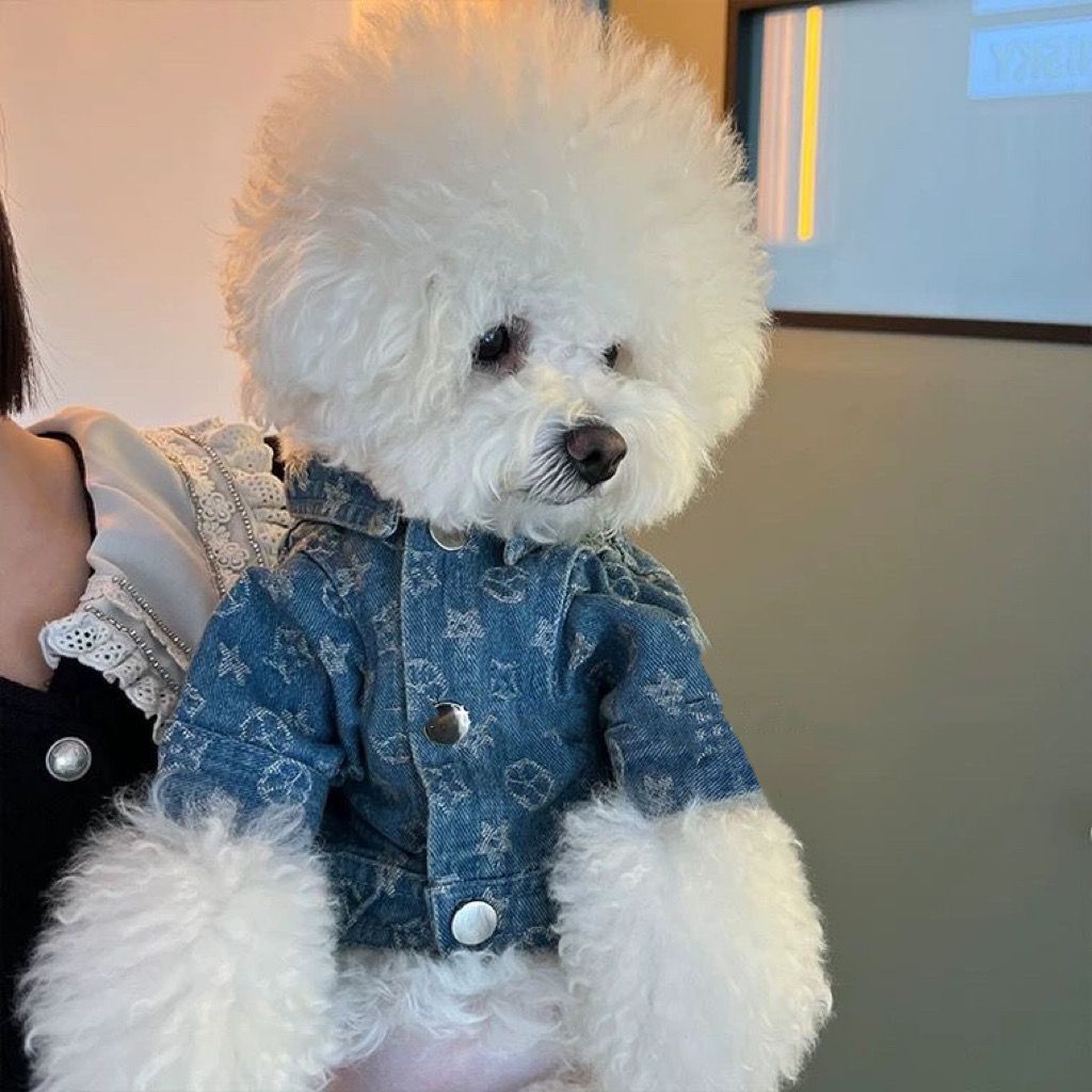 KFX-1876925 Trendy Denim Jacket for Dogs - Cotton Coat in Multiple Sizes