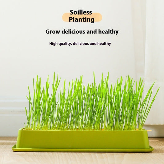 KFX-1881789 Hydroponic Cat Grass Grow Kit - Large & Small Options with Seeds Included