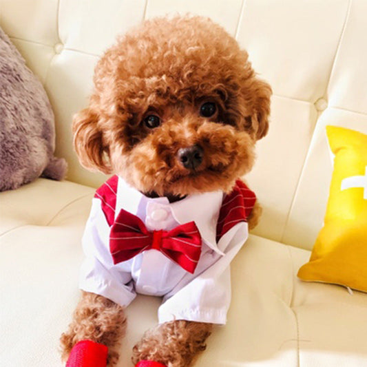 KFX-1882685 Chic Striped Suit Shirt for Dogs with Bow Tie - Multiple Colors and Sizes Available