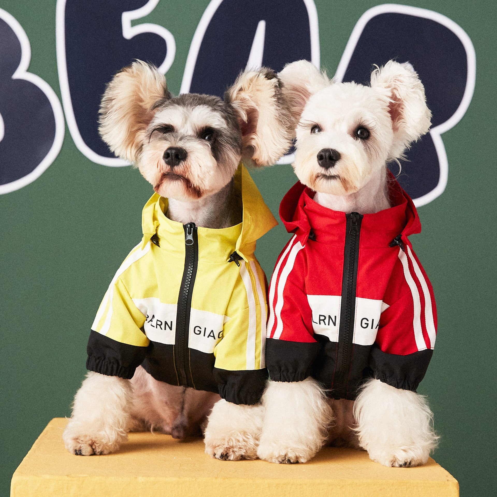 KFX-1894205 Waterproof Dog Raincoat Jacket in Red and Yellow - Lightweight Polyester, Multiple Sizes Available