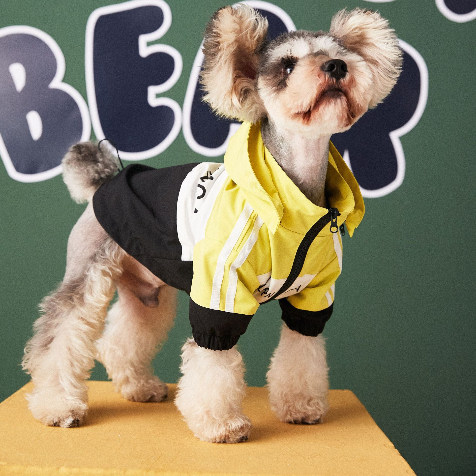 KFX-1894205 Waterproof Dog Raincoat Jacket in Red and Yellow - Lightweight Polyester, Multiple Sizes Available