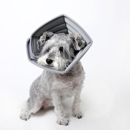 KFX-1897789 Monochrome Pet Anti-Bite Headgear - Adjustable Size Options for Dogs