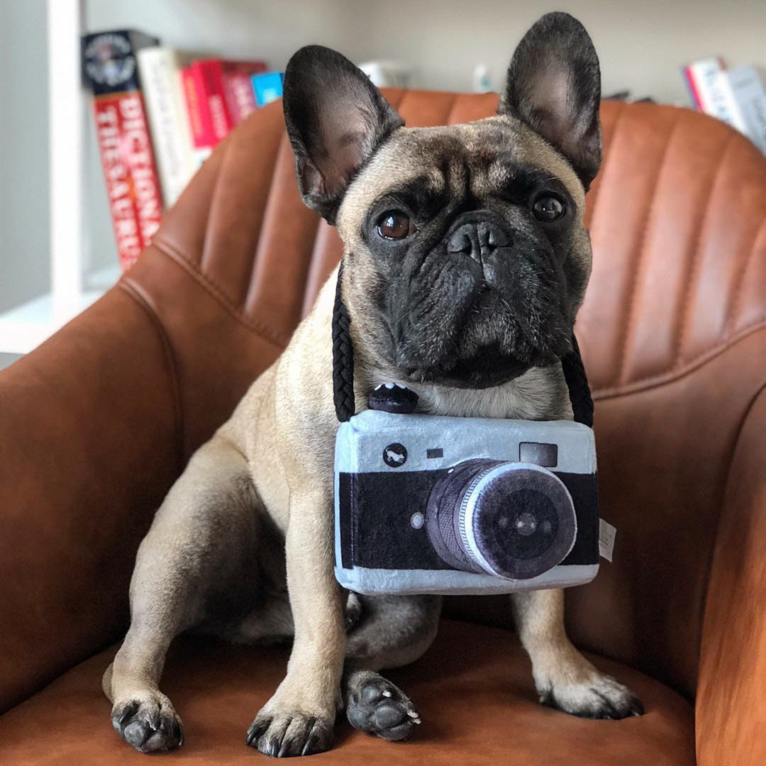 KFX-1900605 Plush Dog Camera Photo Prop Toy - Interactive Photography Accessory for Pets