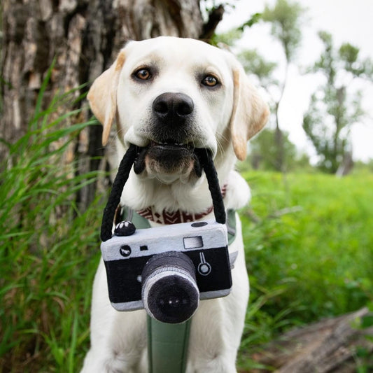 KFX-1900605 Plush Dog Camera Photo Prop Toy - Interactive Photography Accessory for Pets