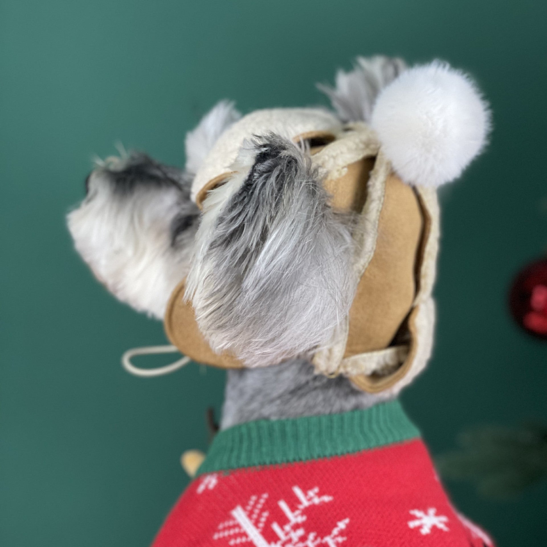 KFX-1903165 Brown Dog Hat for Schnauzers and Teddies - All-Season Pet Accessory