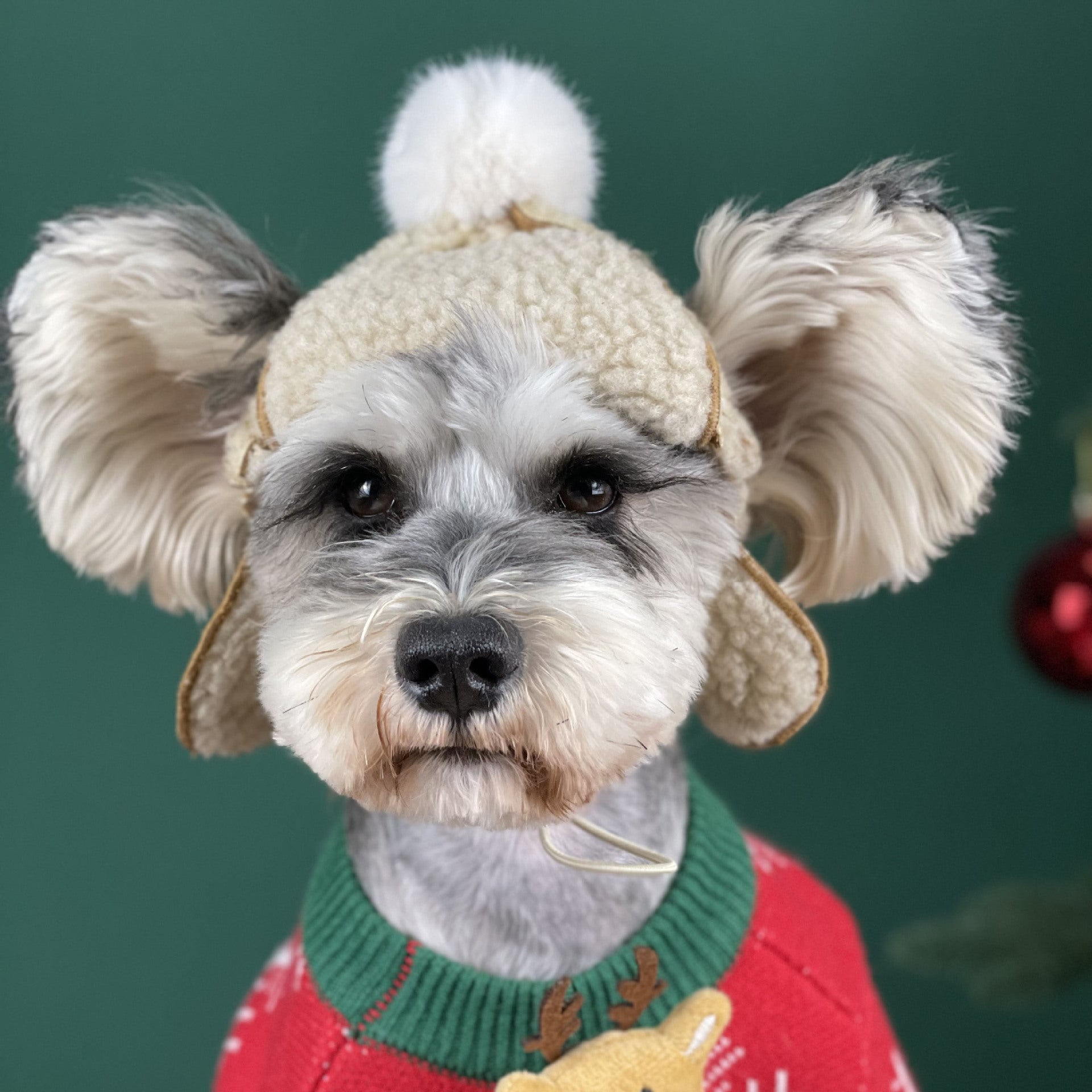 KFX-1903165 Brown Dog Hat for Schnauzers and Teddies - All-Season Pet Accessory