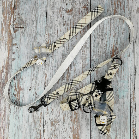 KFX-1904829 Stylish Leather Pet Collar and Leash Set with Triangle Chest Strap