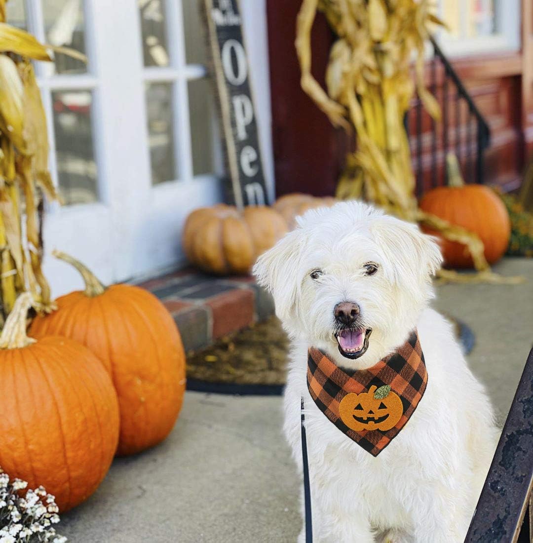 KFX-1908797 Halloween Dog Bandana with Pumpkin and Skeleton Appliques for Pets – Neck Size Up to 22 Inches