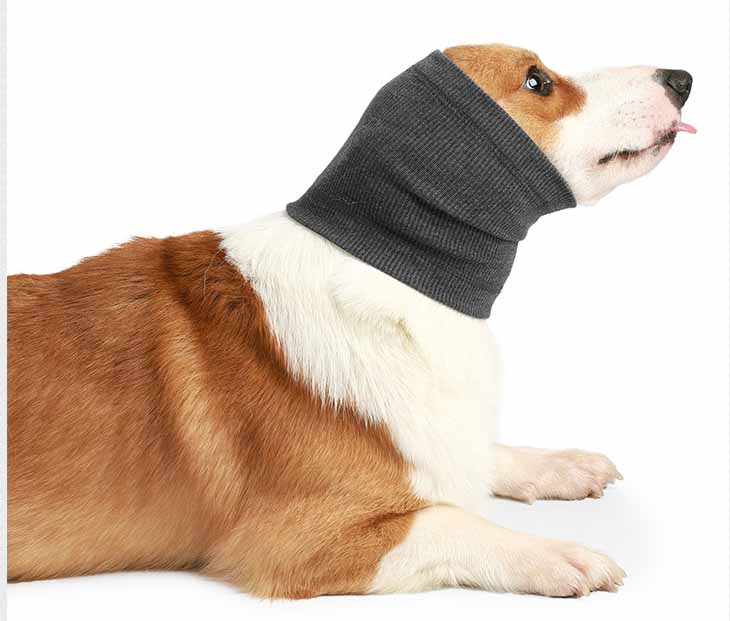 KFX-1908925 Comfortable Polyester Dog Headgear Bib - Blue and Gray, Sizes S, M, L