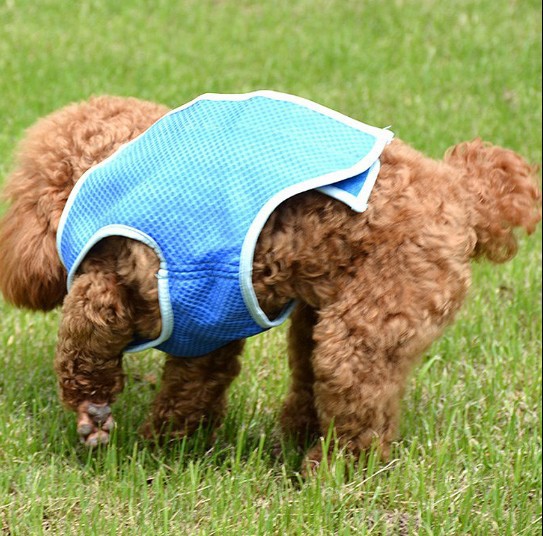 KFX-1915453 Cooling Vest for Summer Pets - PVA Water-Activated Cooling Apparel for Dogs and Cats