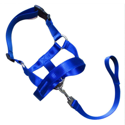 KFX-1916861 Nylon Dog Muzzle Cover with Adjustable Leash - Available in Black, Red, and Blue
