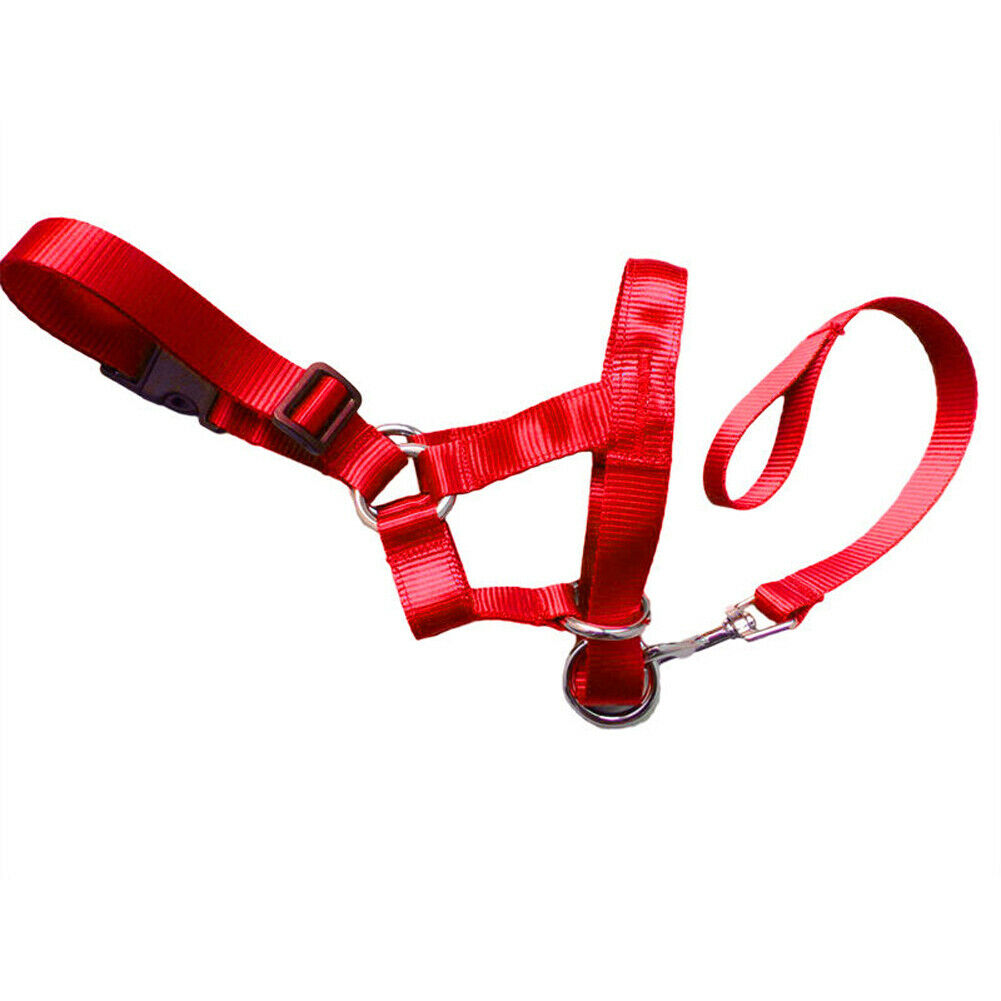 KFX-1916861 Nylon Dog Muzzle Cover with Adjustable Leash - Available in Black, Red, and Blue