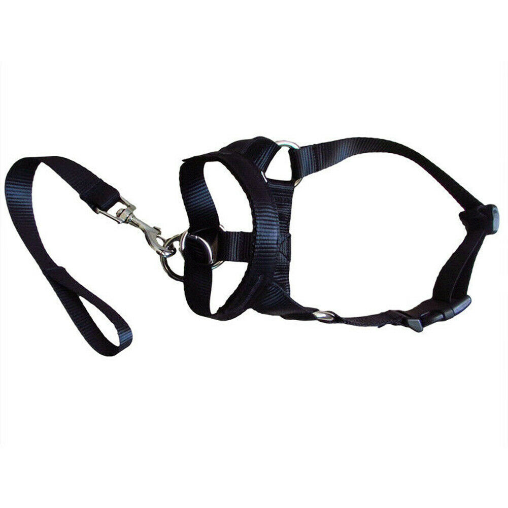 KFX-1916861 Nylon Dog Muzzle Cover with Adjustable Leash - Available in Black, Red, and Blue
