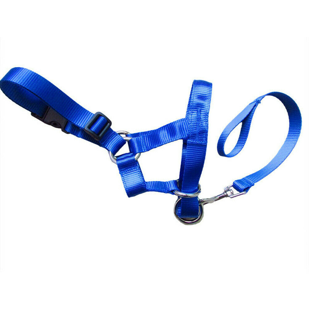 KFX-1916861 Nylon Dog Muzzle Cover with Adjustable Leash - Available in Black, Red, and Blue