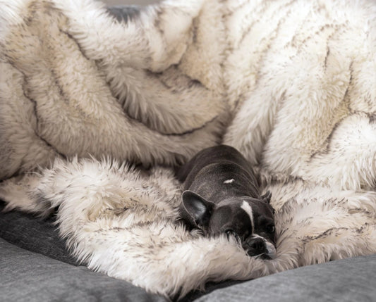 KFX-1921853 Plush Waterproof Dog House Blanket - Soft Cloth Pet Nest in Beige