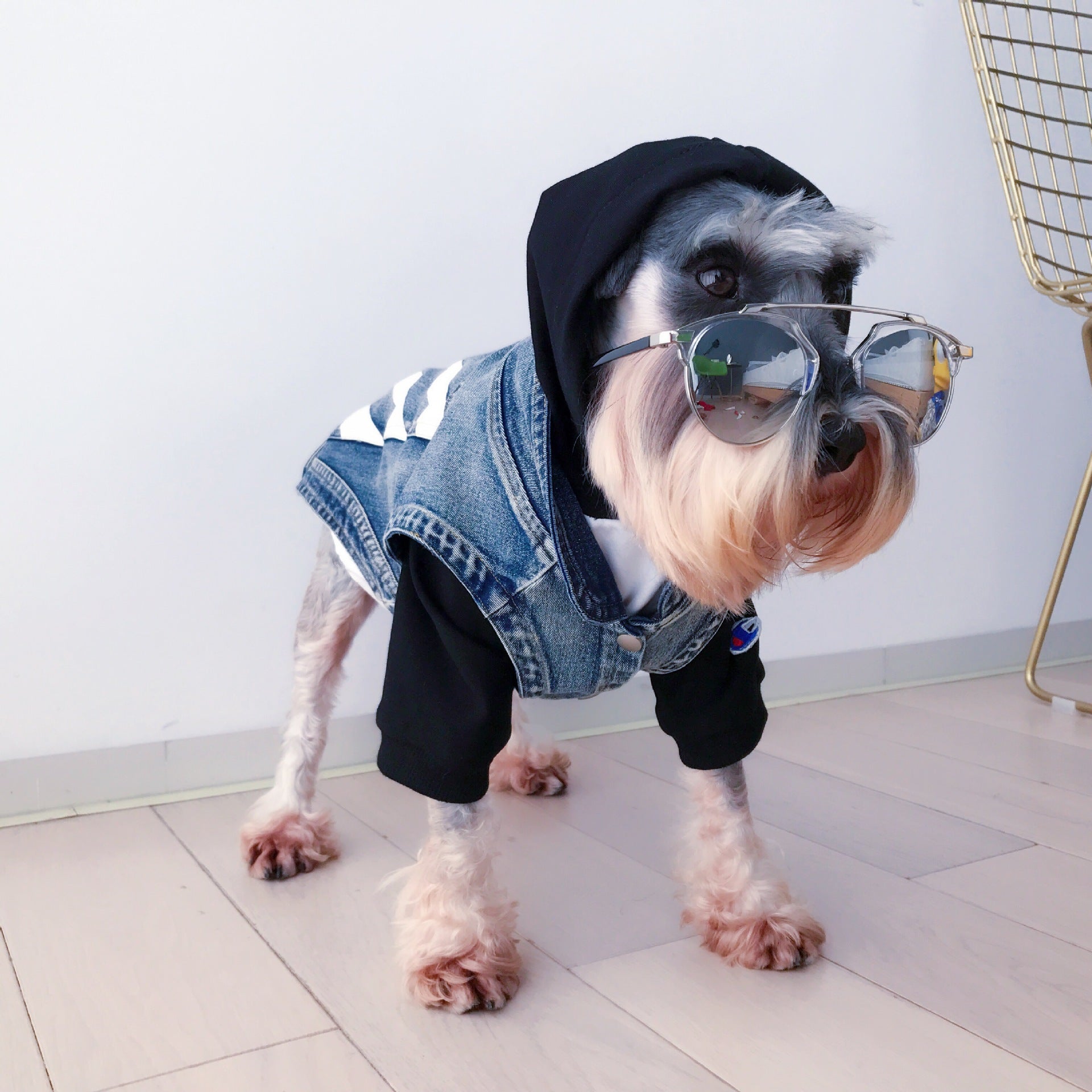 KFX-1925181 Denim Dog Vest with Zebra Stripes for Small to Extra Large Dogs