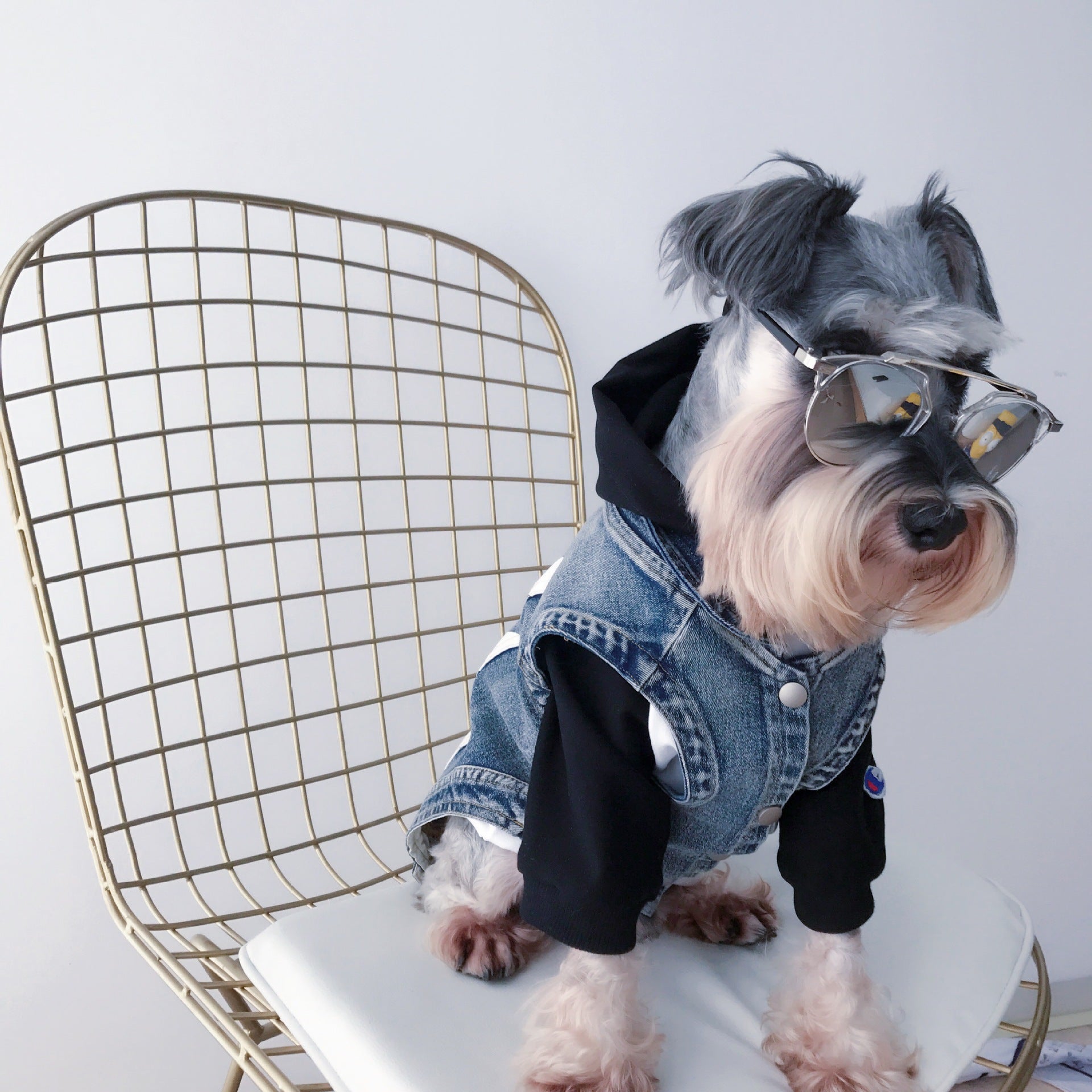 KFX-1925181 Denim Dog Vest with Zebra Stripes for Small to Extra Large Dogs