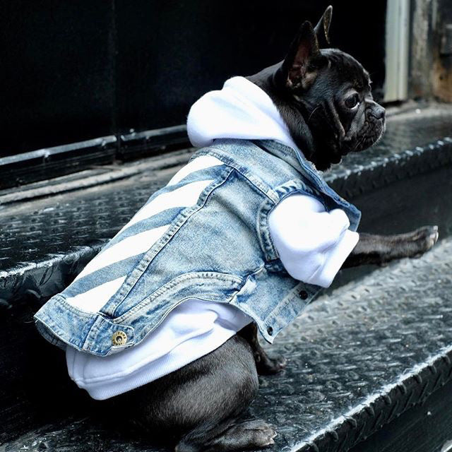 KFX-1925181 Denim Dog Vest with Zebra Stripes for Small to Extra Large Dogs