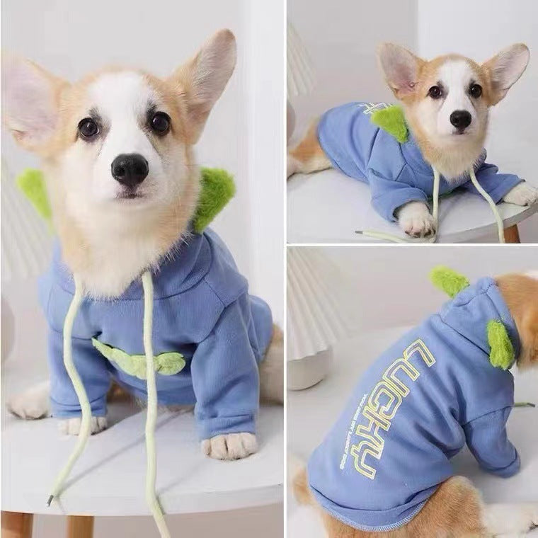 KFX-1928381 Schnauzer Bichon Teddy Autumn Winter Sweaters in Blue and Green for Small to Medium Dogs