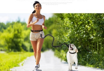 KFX-1932349 Adjustable Reflective Dog Running Belt with Elastic Leash for Small to Medium Dogs, Comfortable Nylon Traction Rope for Hands-Free Walking and Hiking