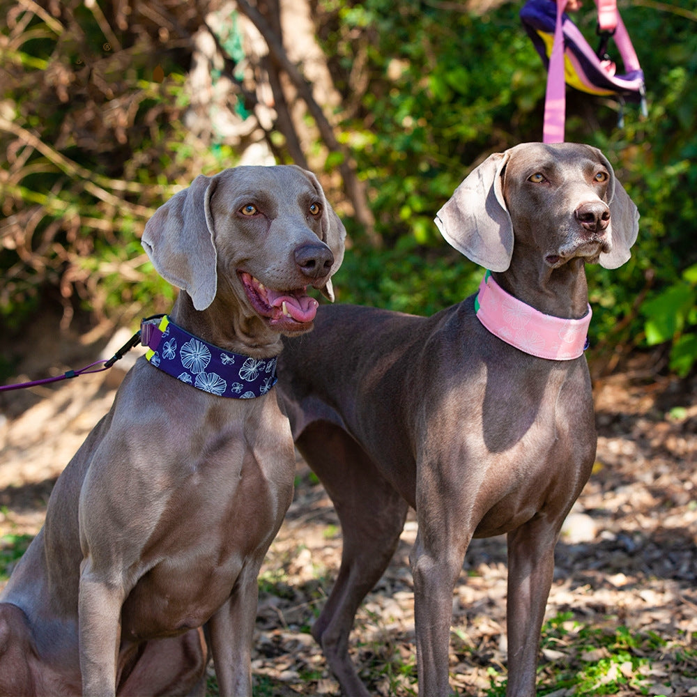 KFX-1936317 Adjustable Floral Pet Collar and Lead Rope Set - Wine Red, Barbie Pink, Grape Purple