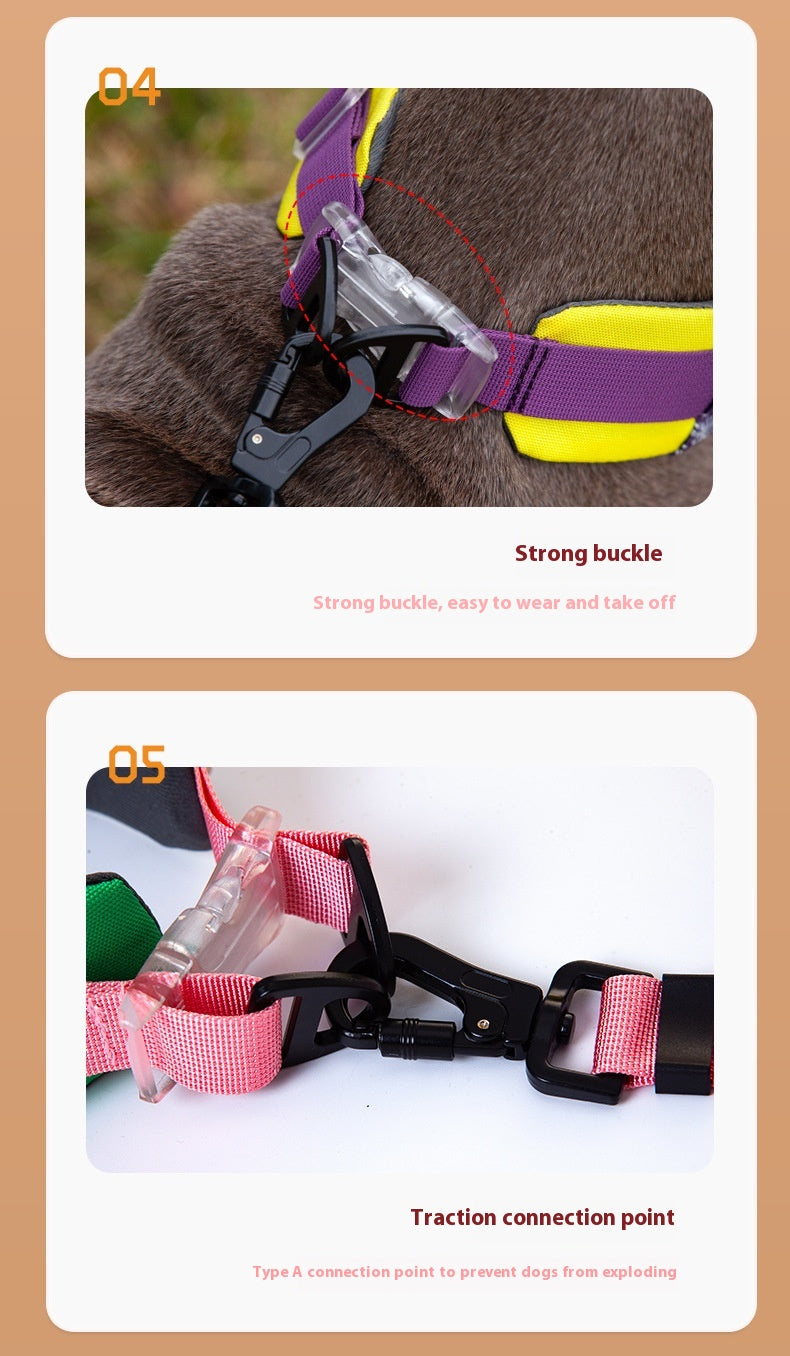 KFX-1936317 Adjustable Floral Pet Collar and Lead Rope Set - Wine Red, Barbie Pink, Grape Purple