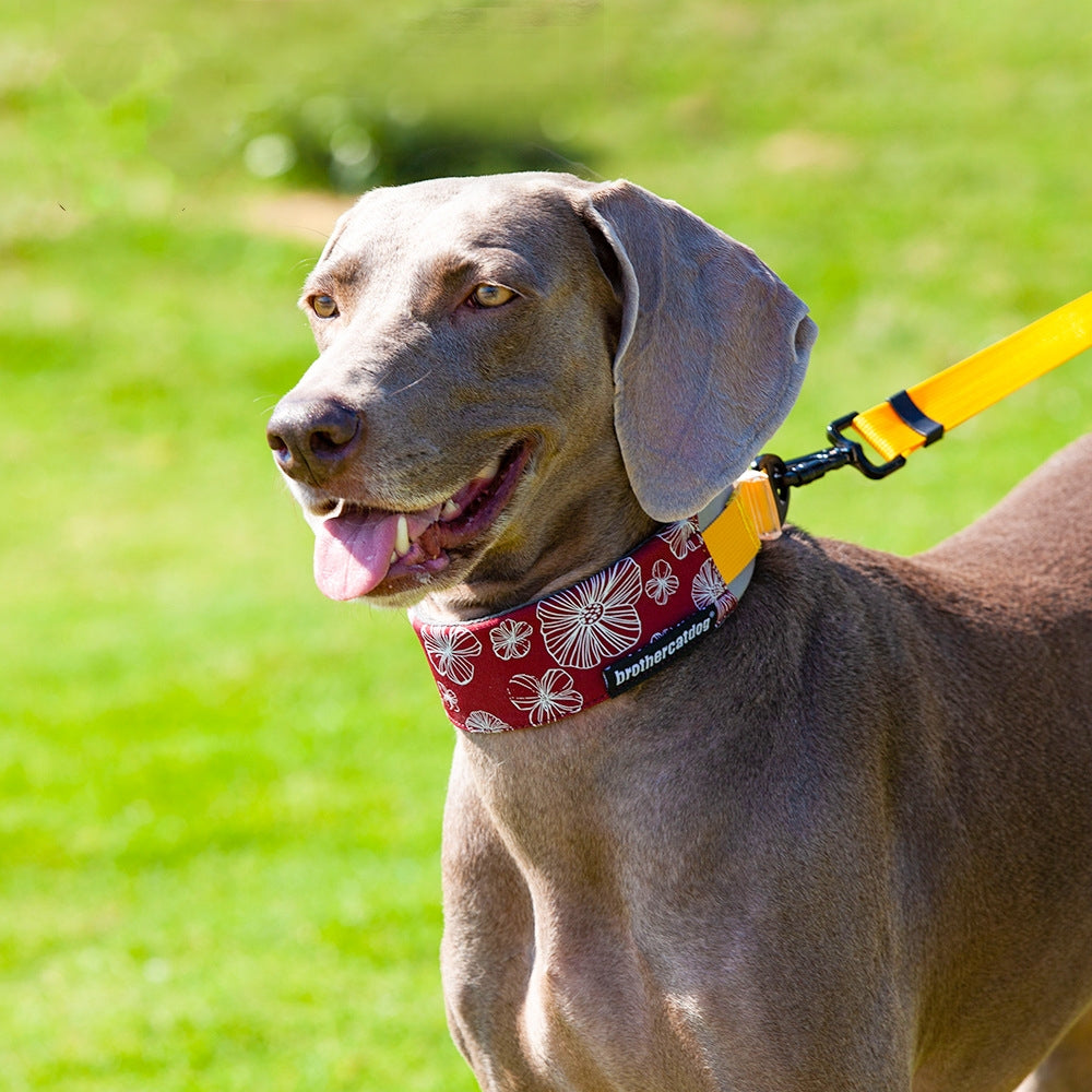 KFX-1936317 Adjustable Floral Pet Collar and Lead Rope Set - Wine Red, Barbie Pink, Grape Purple