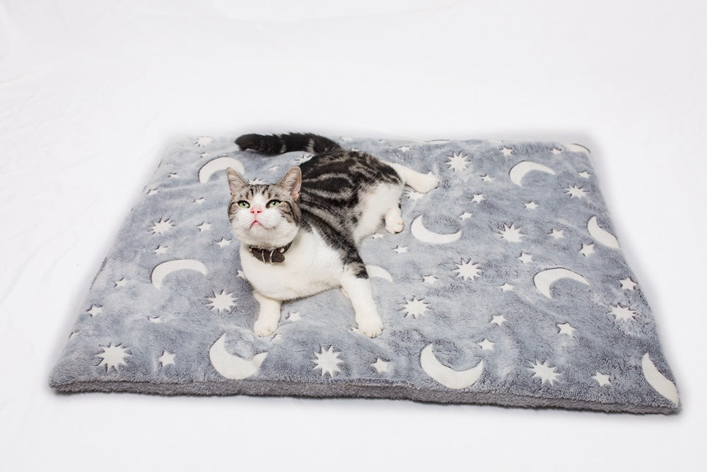 KFX-1945917 Luminous Flannel Pet Cushion Mat in Gray - Sizes S, M, L Available