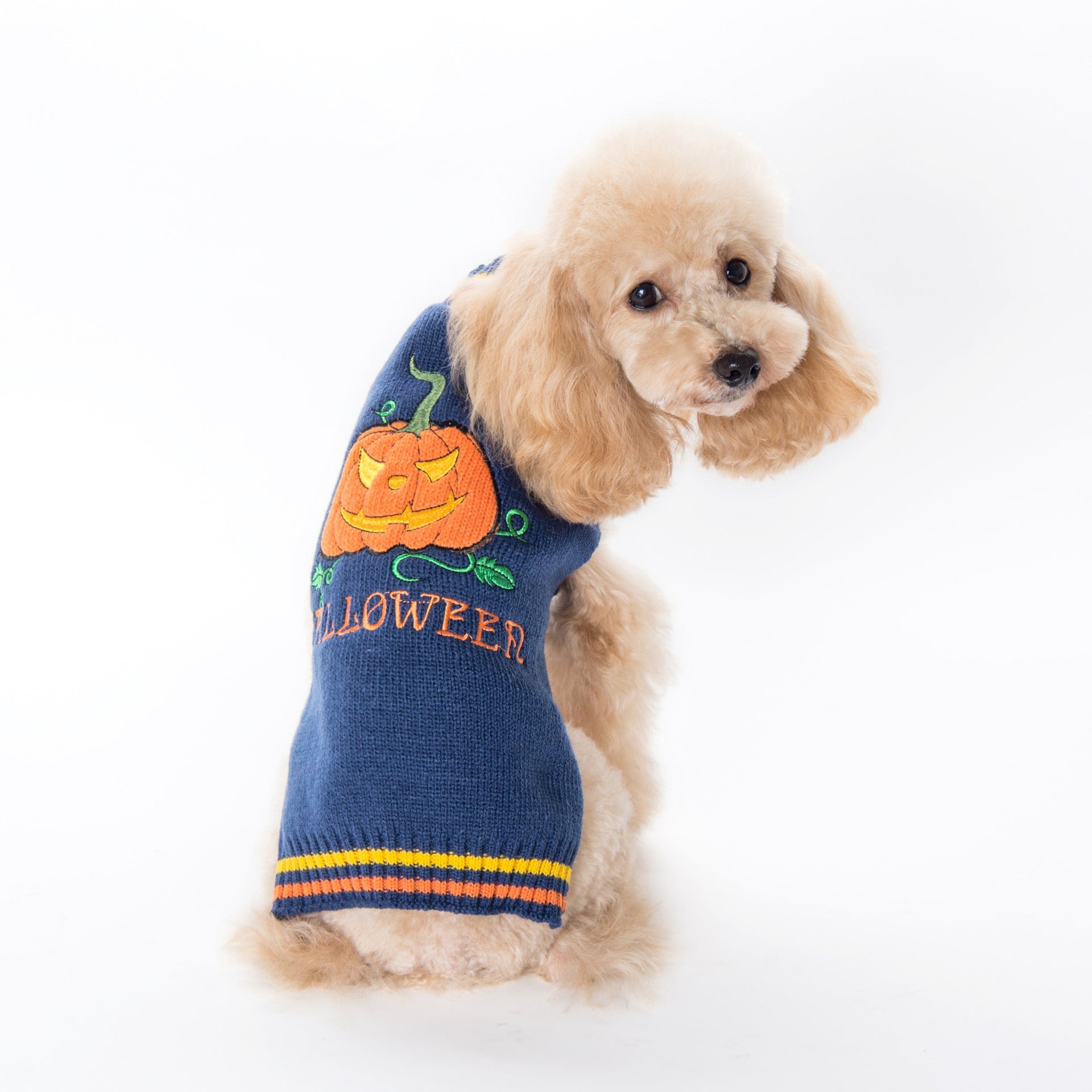 KFX-1947837 Cozy Pumpkin Sweater for Dogs - Halloween Pet Clothing in Various Sizes and Designs