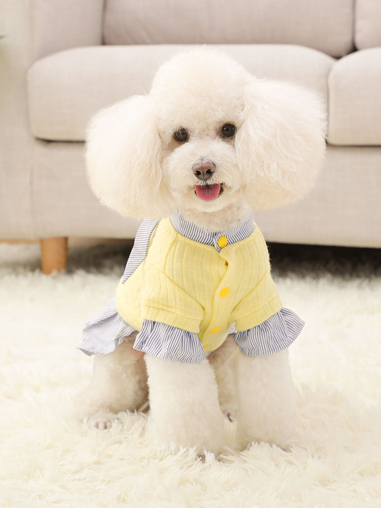 KFX-1948221 Trendy Knitted Striped Shirt Dress for Small Dogs in Yellow and Pink