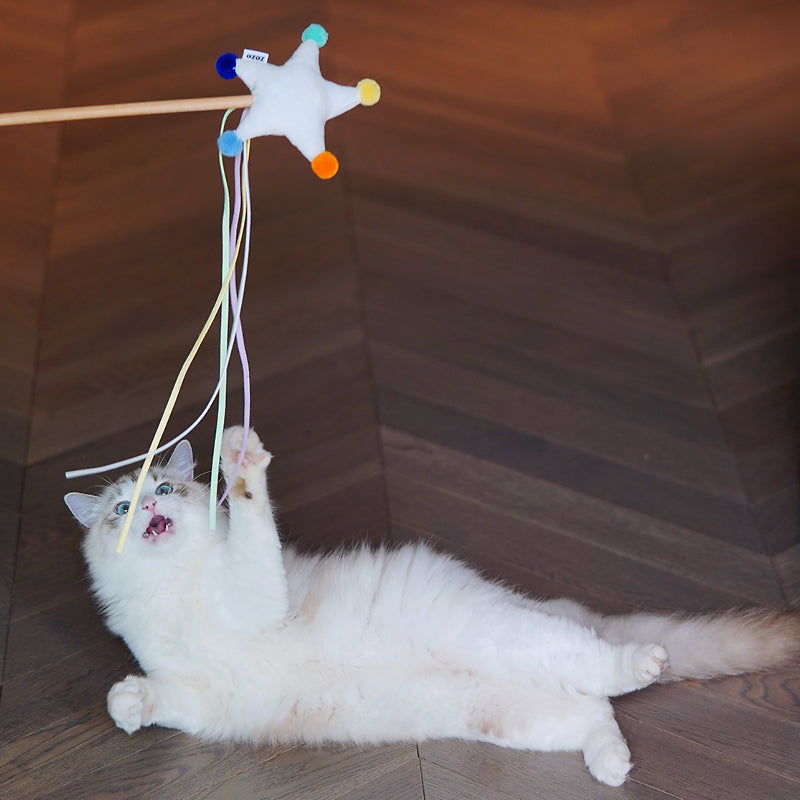 KFX-1956413 Interactive Cat Toy with Organic Catnip - Moon, Star, Cloud Design