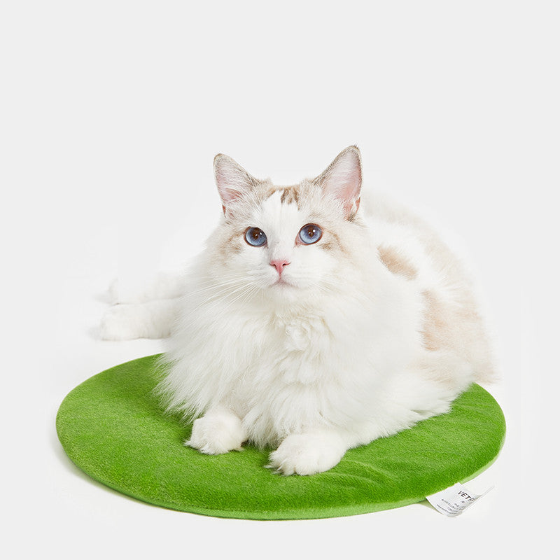 KFX-1959613 Cactus Pet Nest Plus Velvet Cat Bed - Dark Green, Medium Size, 100% Polyester & Polypropylene EPE