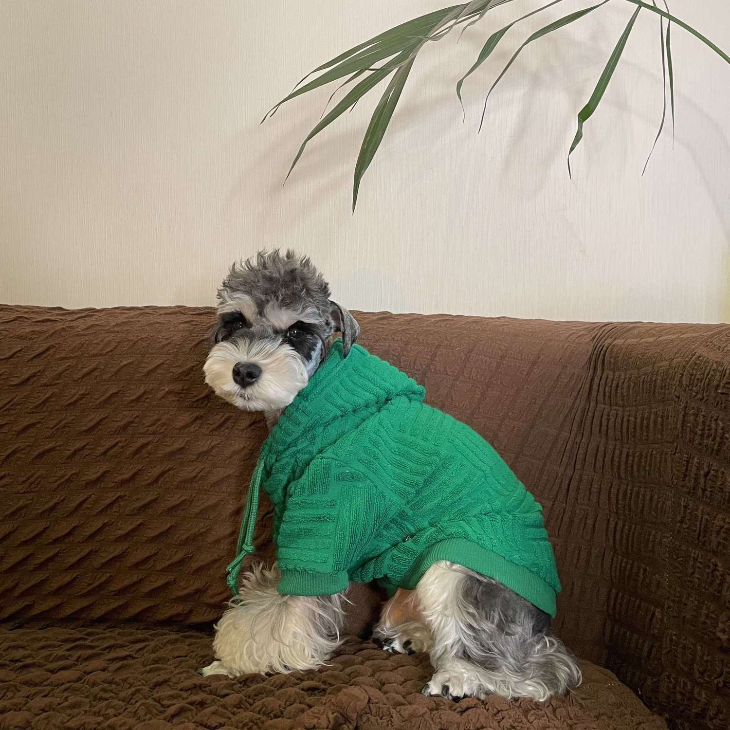 KFX-1961149 Shiba Inu Hooded Sweater for Pets - Cozy Green Apparel in Multiple Sizes