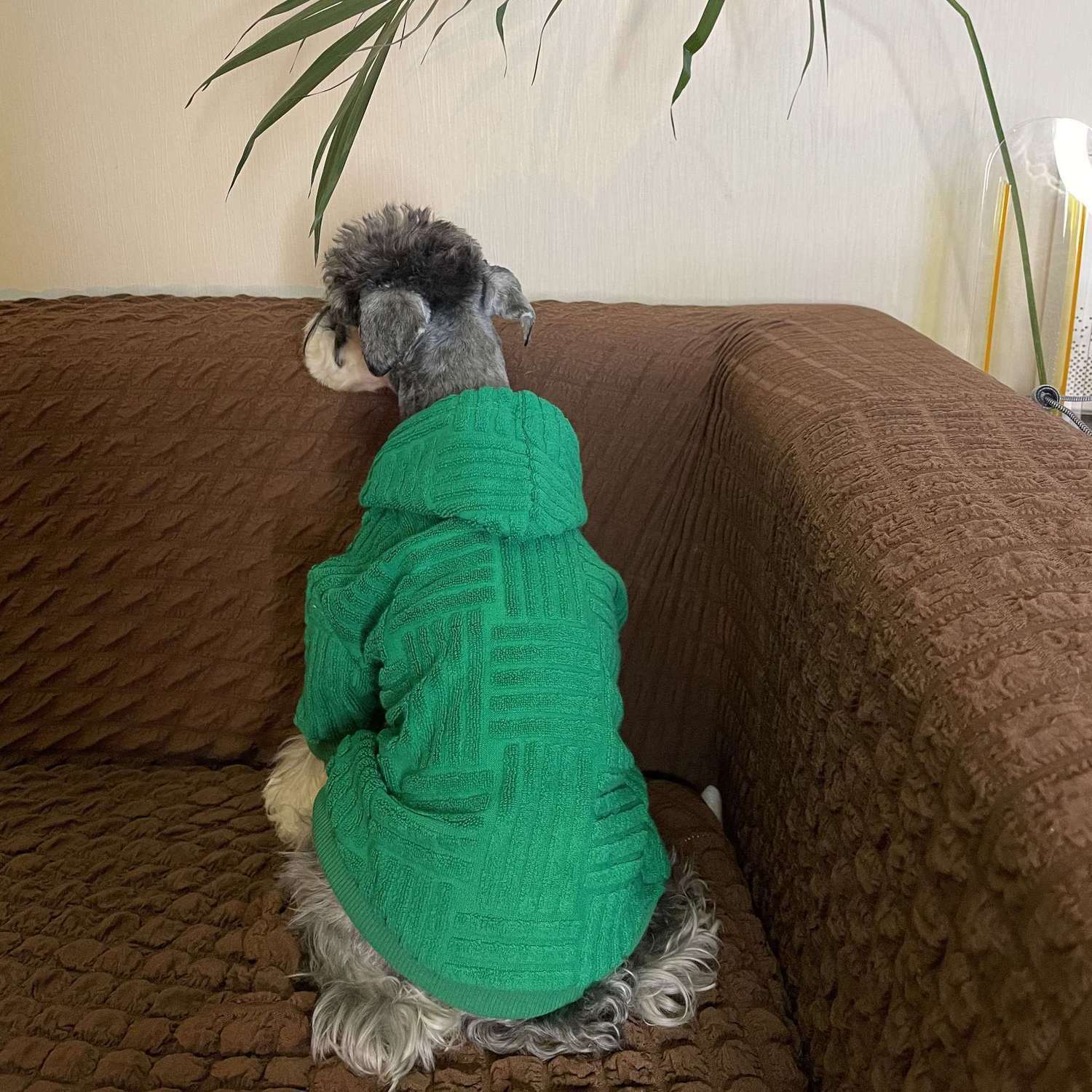 KFX-1961149 Shiba Inu Hooded Sweater for Pets - Cozy Green Apparel in Multiple Sizes