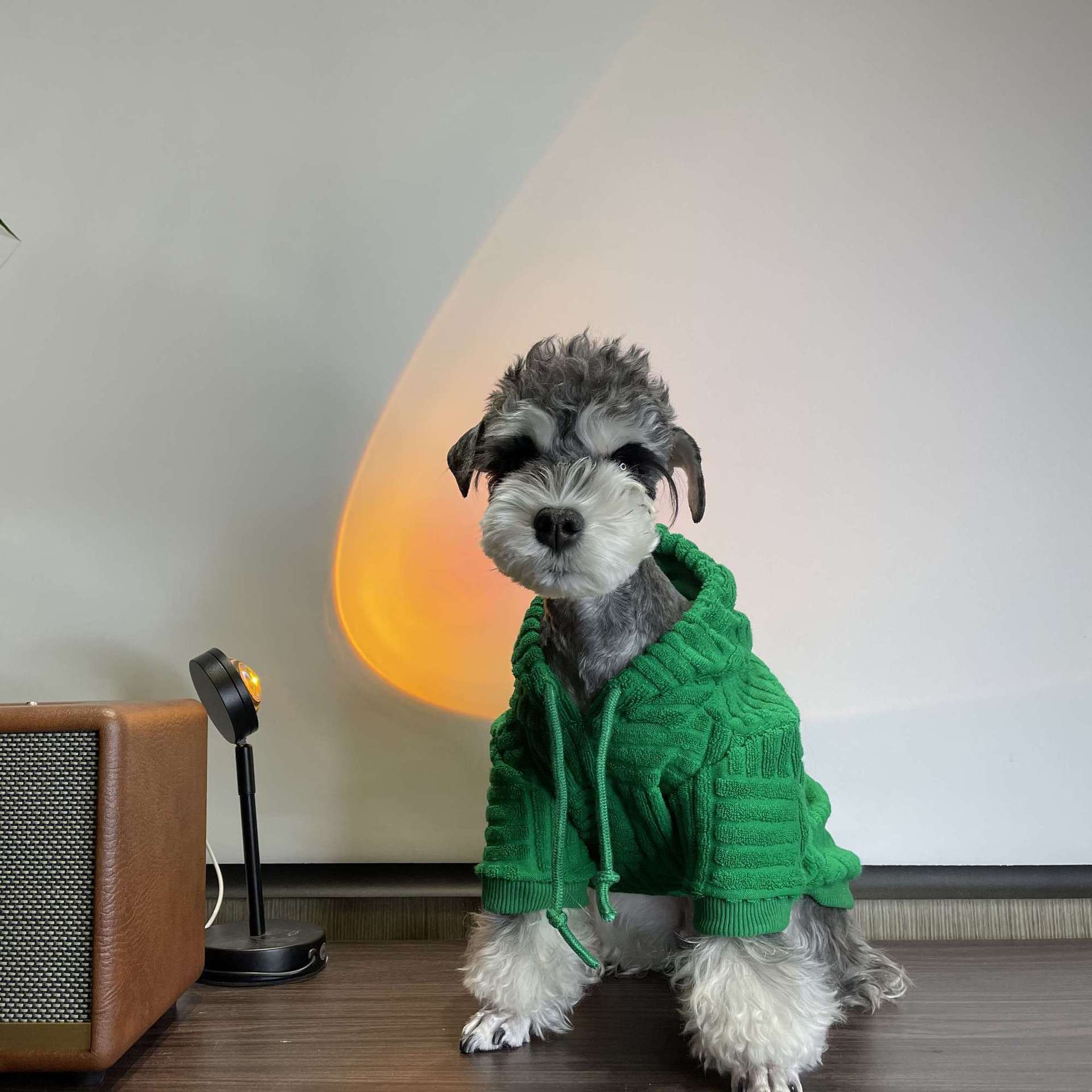 KFX-1961149 Shiba Inu Hooded Sweater for Pets - Cozy Green Apparel in Multiple Sizes