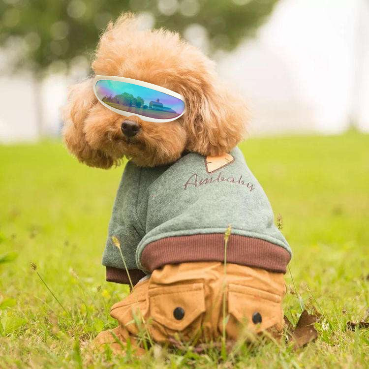KFX-1962941 Pet UV Protection Goggles for Small Dogs and Cats - Lightweight and Durable Plastic Design