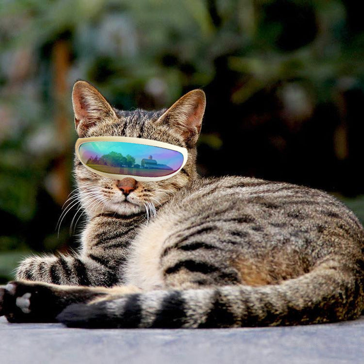 KFX-1962941 Pet UV Protection Goggles for Small Dogs and Cats - Lightweight and Durable Plastic Design