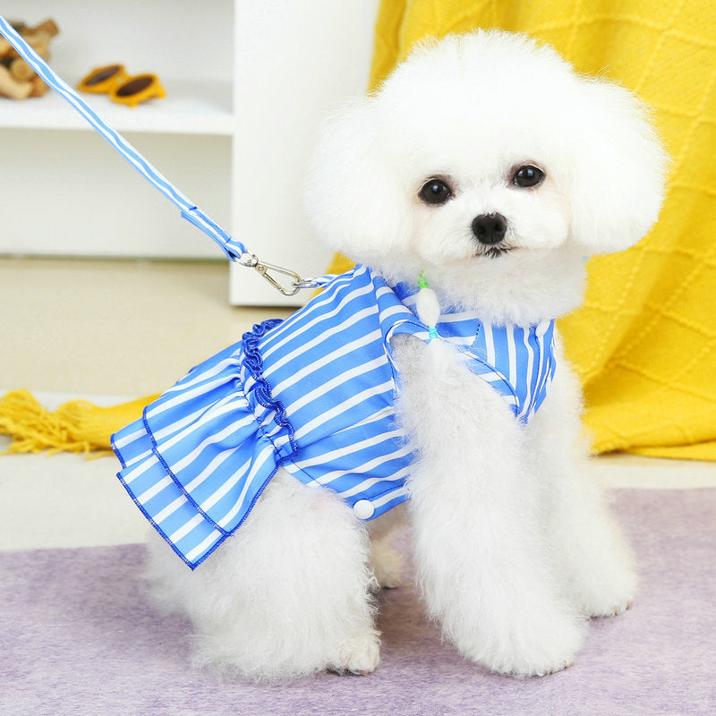 KFX-1963709 Casual Blue and Yellow Skirt for Small to Medium Dogs, 25% Cotton and 75% Polyester, Includes Lead Rope