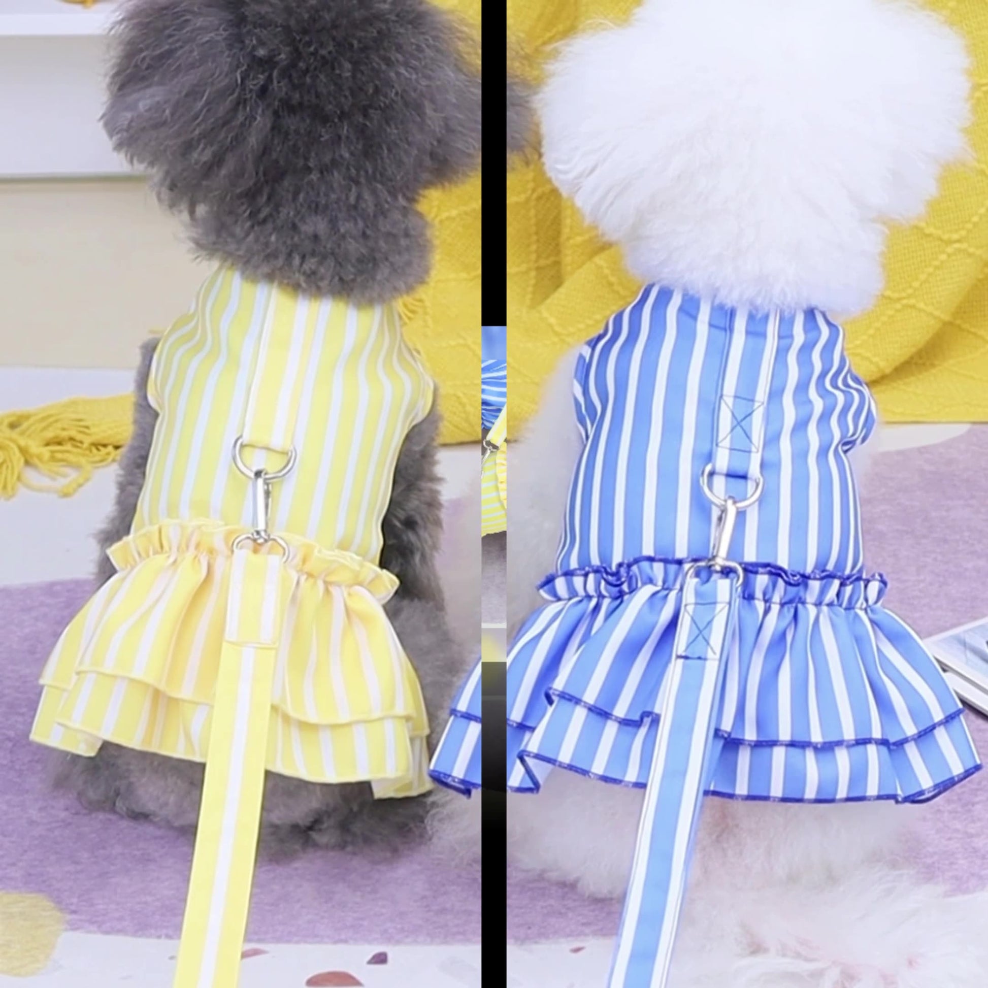 KFX-1963709 Casual Blue and Yellow Skirt for Small to Medium Dogs, 25% Cotton and 75% Polyester, Includes Lead Rope