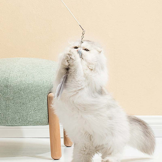 KFX-1966141 Telescopic Cat Toy Laser Stick with Feathers in 3 Vibrant Styles