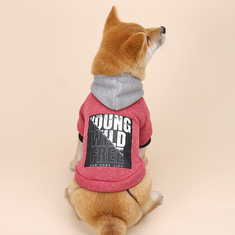 KFX-1966397 Casual Cotton Letter Print Hooded Sweatshirt for Everyday Wear