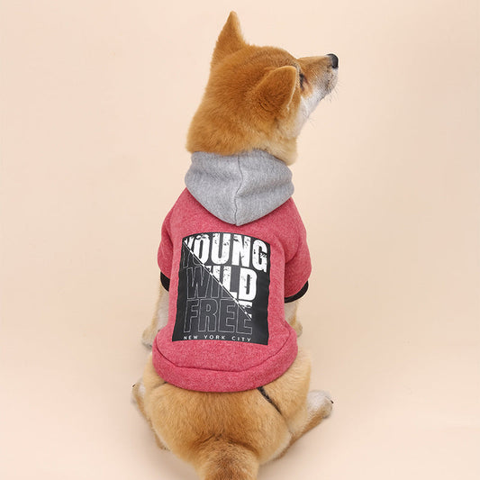 KFX-1966397 Casual Cotton Letter Print Hooded Sweatshirt for Everyday Wear