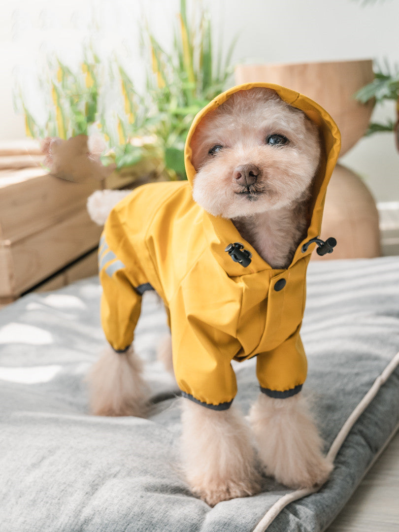KFX-1968701 Cozy Waterproof Poncho for Dogs - Available in Ginger Yellow, Sea Blue, and Pink